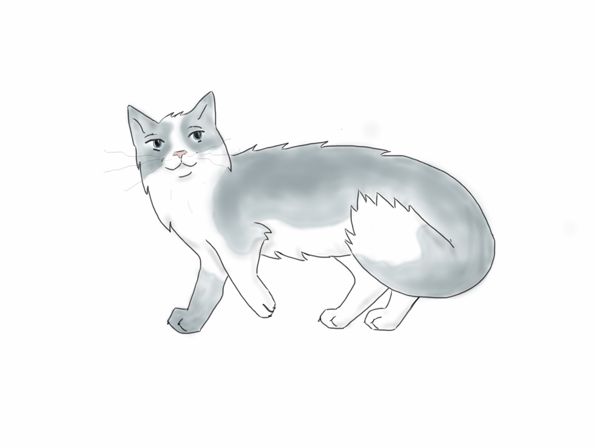 卡通猫咪图片